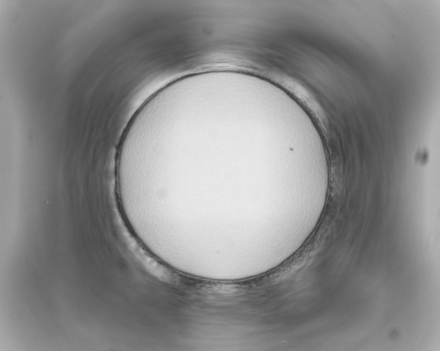 X0000093581431200711121050