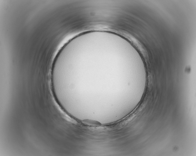 X0000093581432200711121050