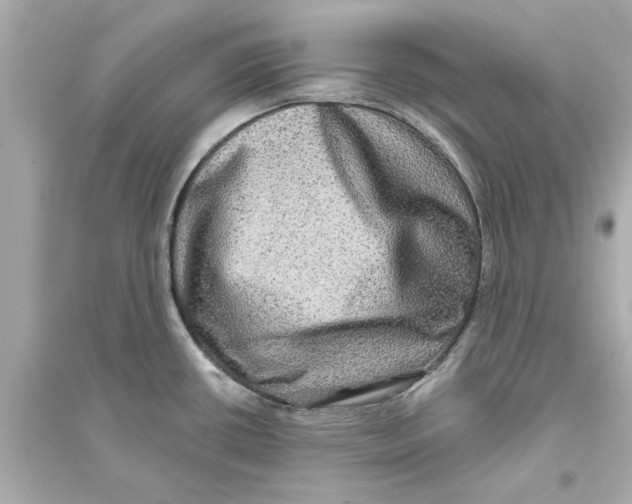 X0000093581434200711121050