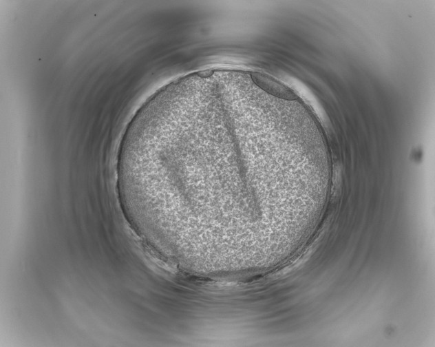 X0000093581435200711121050