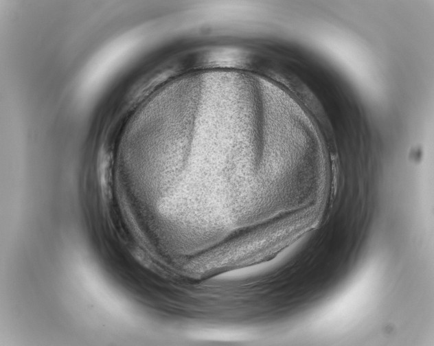 X0000093581438200711121050