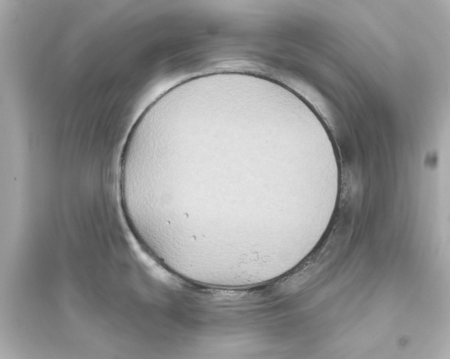 X0000093581439200711121050