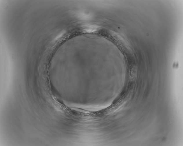 X0000093581441200711121050