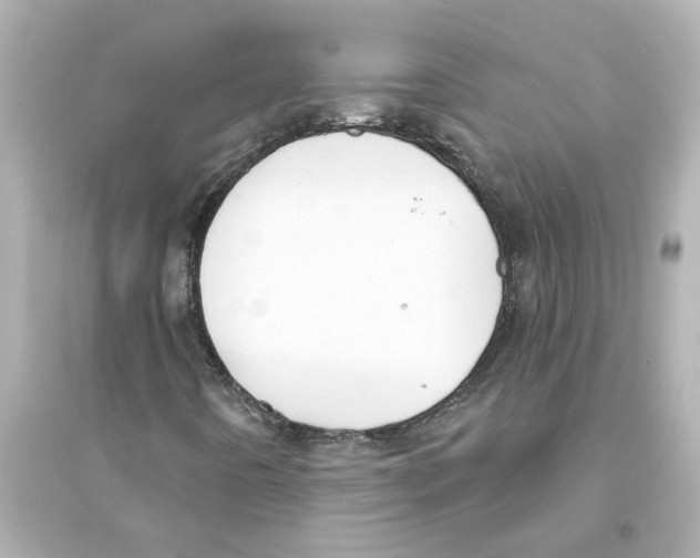 X0000093581442200711121050