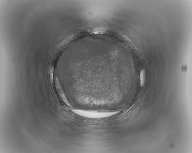 X0000093581443200711121050