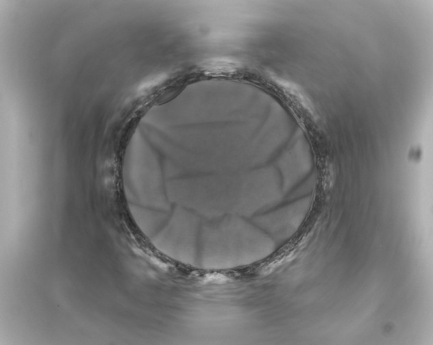 X0000093581445200711121050