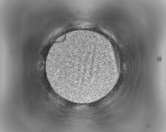 X0000093581447200711121050