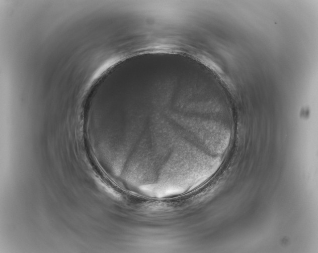 X0000093581450200711121050