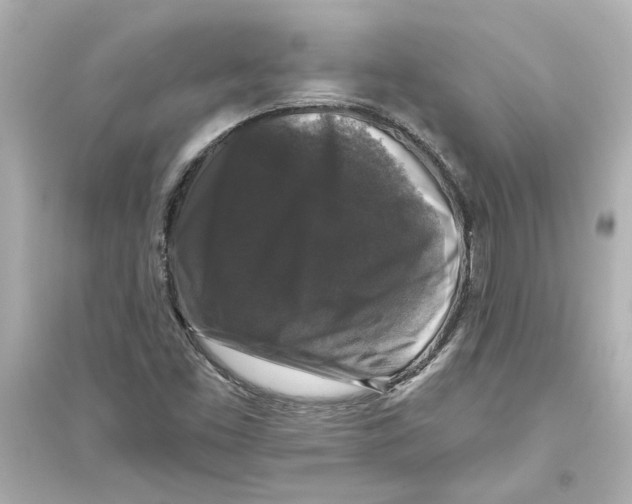 X0000093581453200711121050