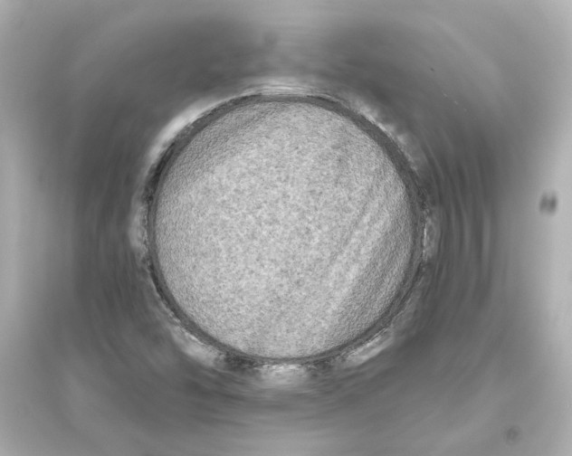 X0000093581454200711121050