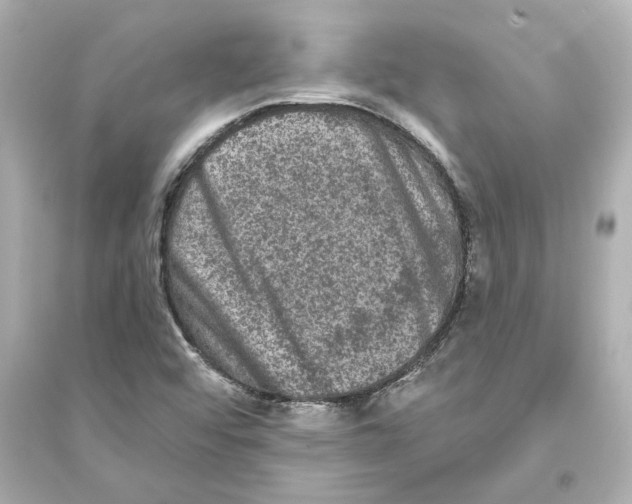 X0000093581456200711121049