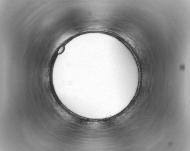 X0000093581458200711121049