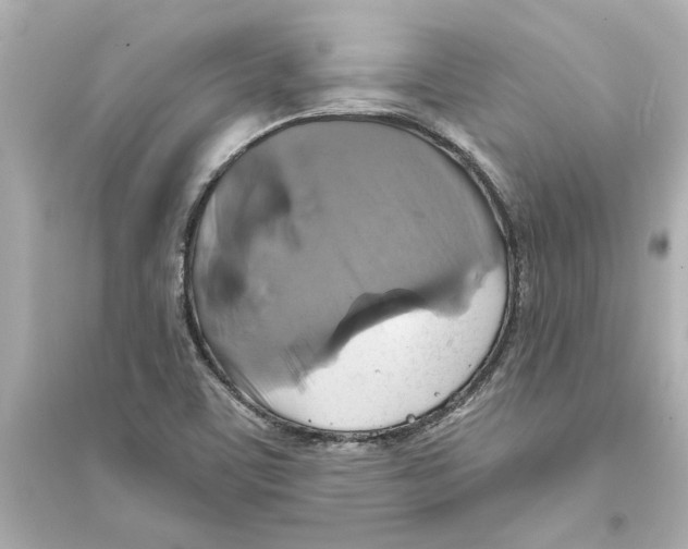 X0000093581459200711121049