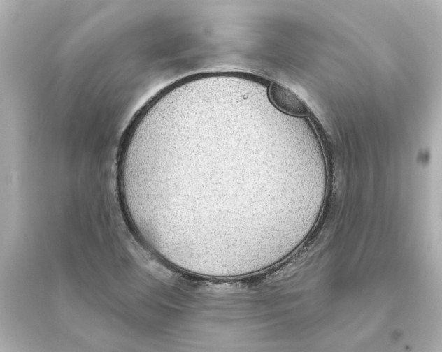 X0000093581460200711121049