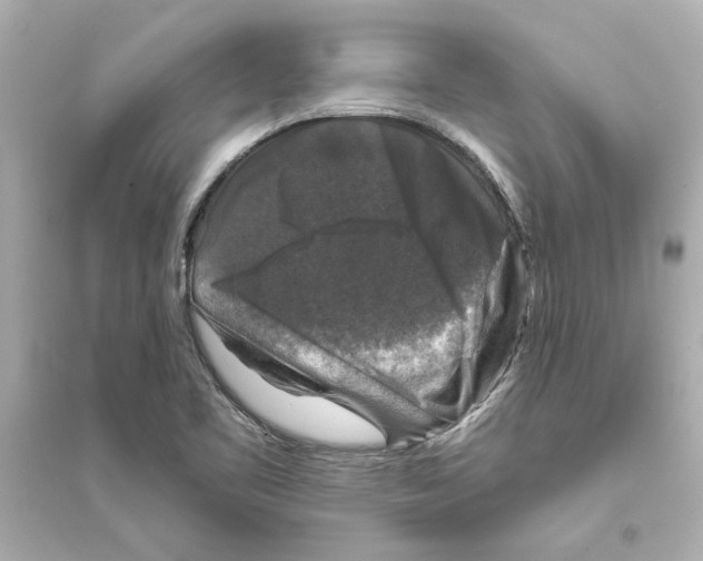 X0000093581461200711121049