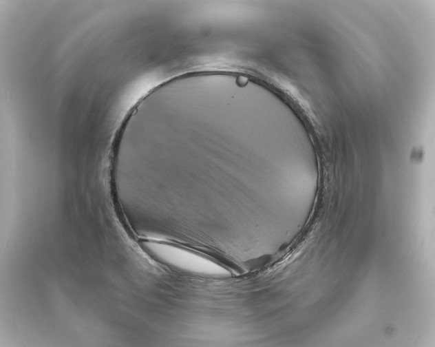 X0000093581463200711121049