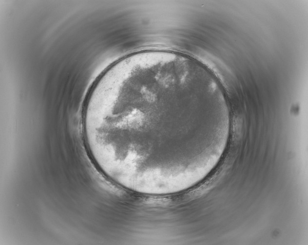 X0000093581466200711121049