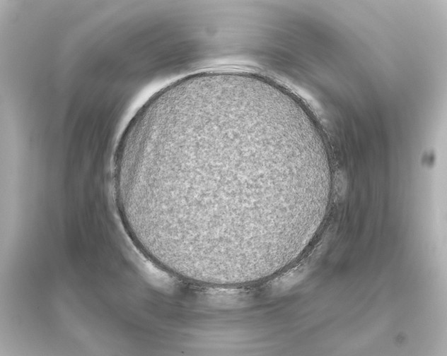 X0000093581470200711121049