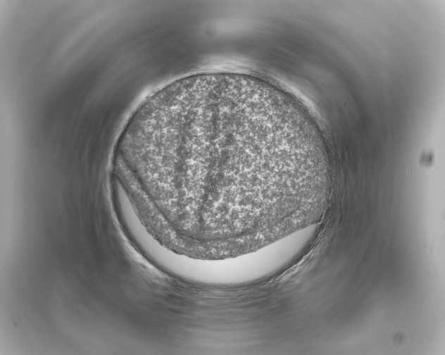 X0000093581471200711121049