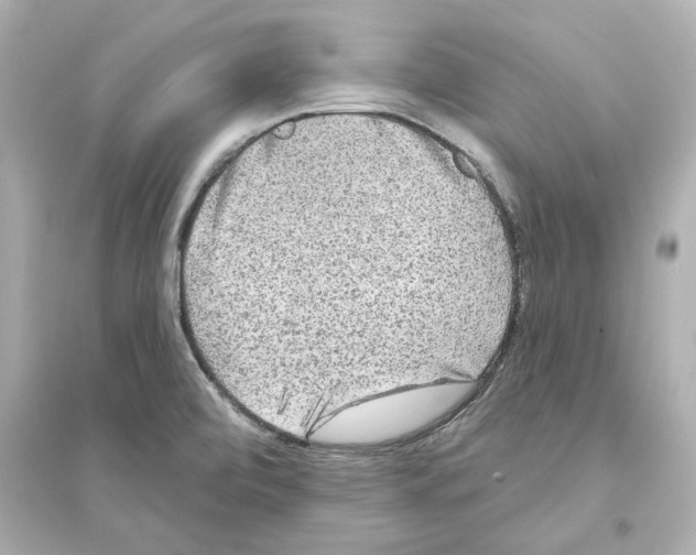 X0000093581472200711121049