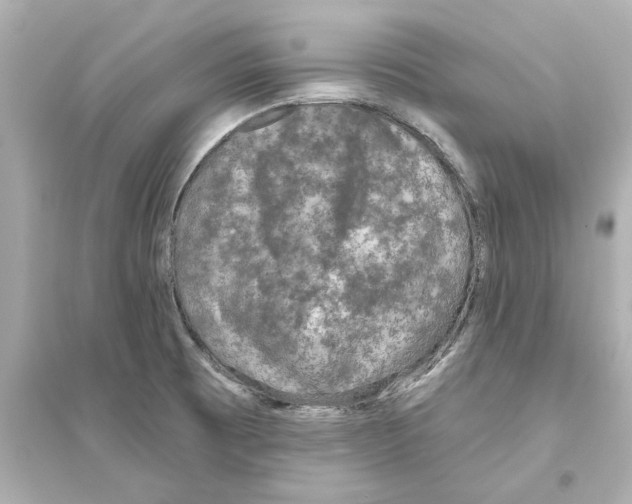 X0000093581473200711121049