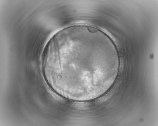 X0000093581474200711121049