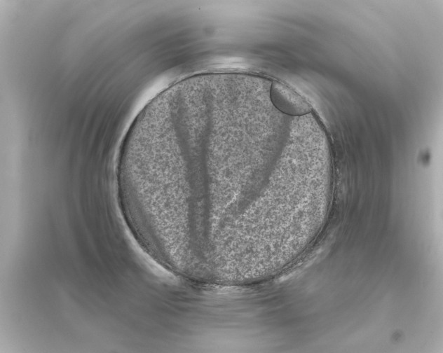 X0000093581475200711121049