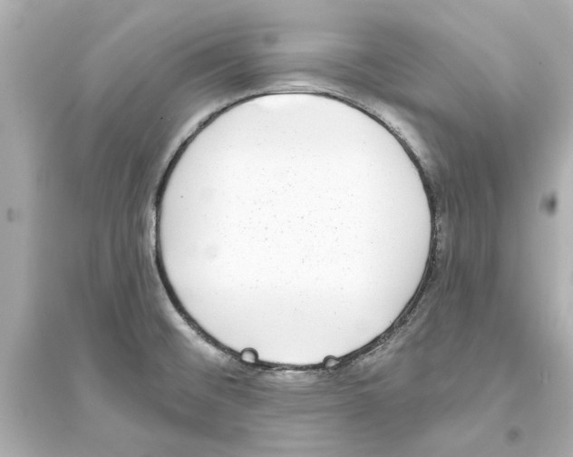 X0000093581476200711121049