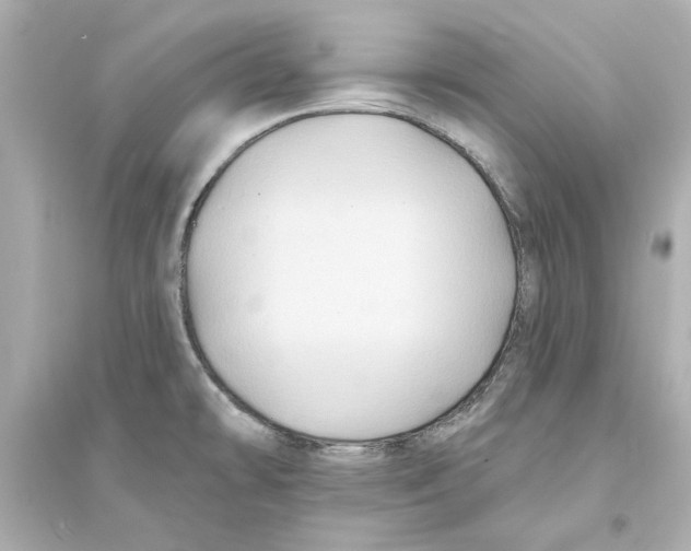 X0000093581478200711121049