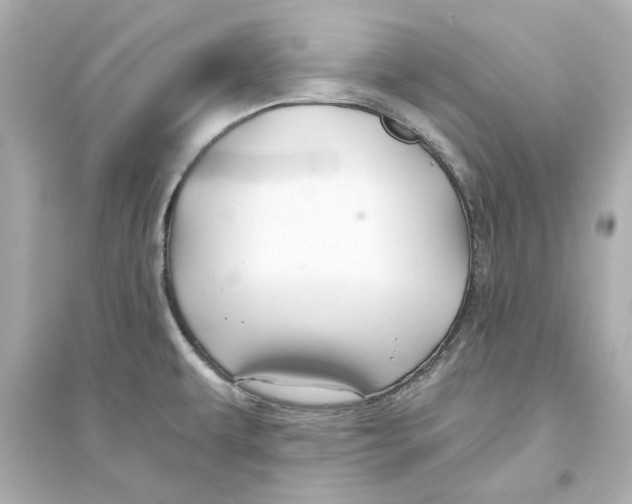 X0000093581479200711121049