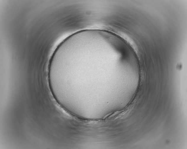 X0000093581480200711121049