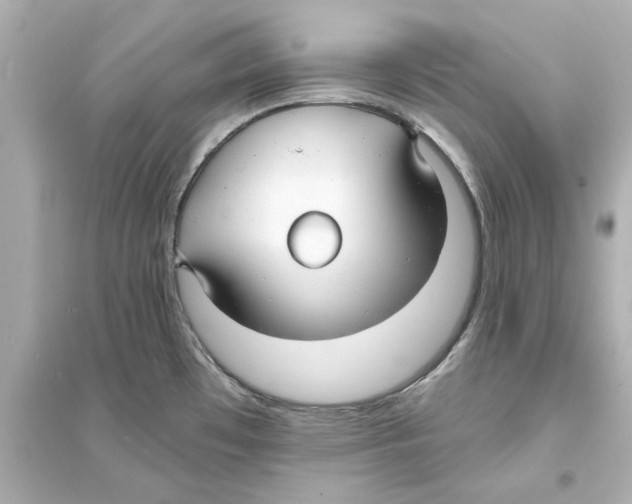 X0000093581481200711121049