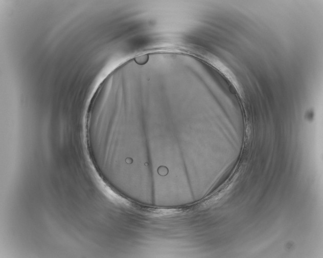 X0000093581482200711121049