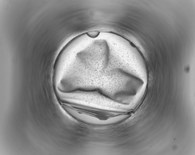 X0000093581484200711121049