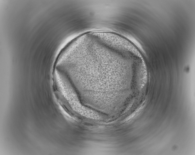 X0000093581485200711121049