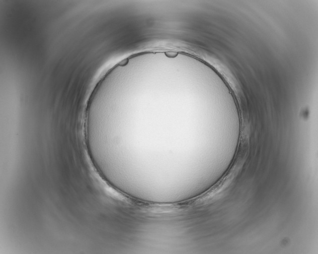 X0000093581486200711121049