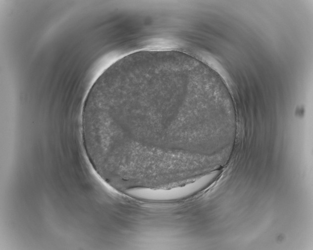 X0000093581487200711121049