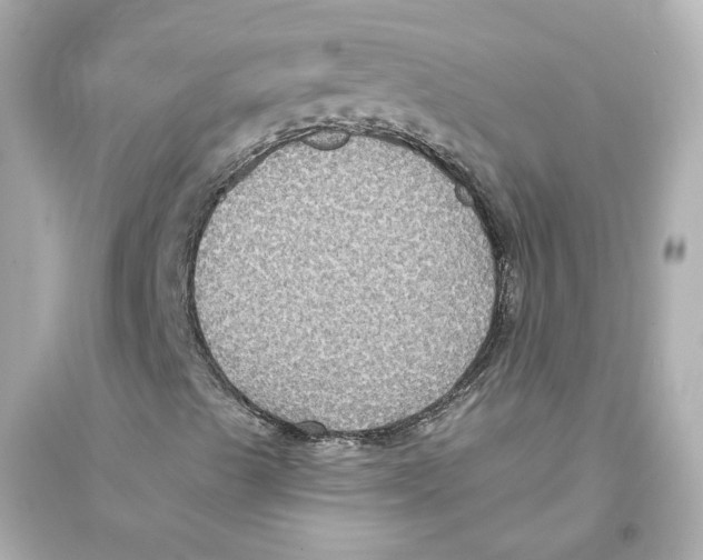 X0000093581489200711121048