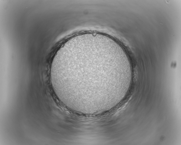 X0000093581494200711121048