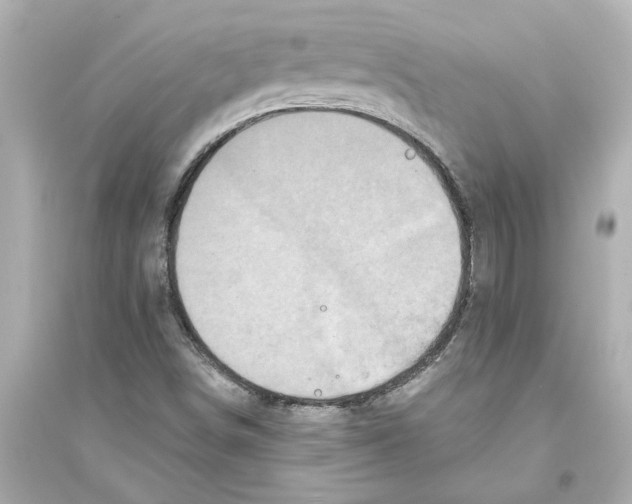 X0000093581498200711121048