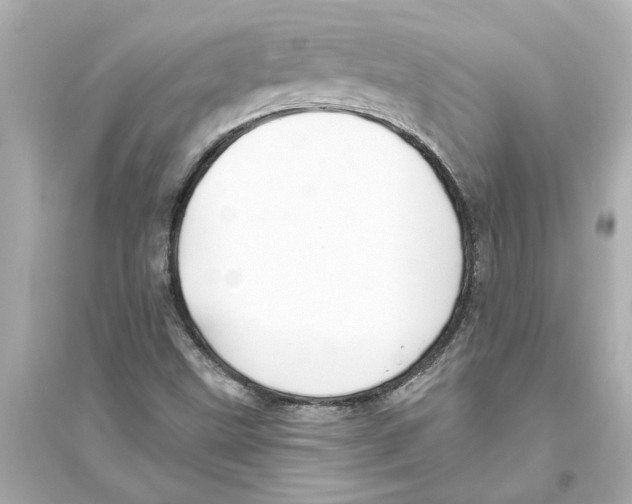 X0000093581499200711121048