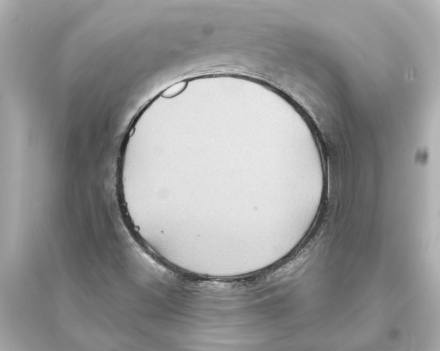 X0000093581500200711121048