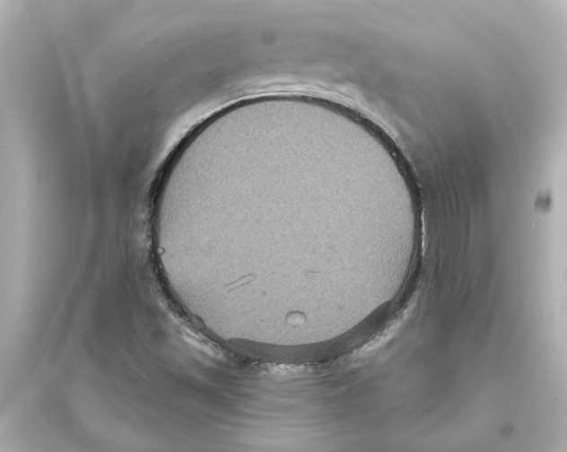 X0000093581501200711121048