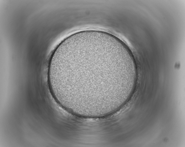 X0000093581504200711121048