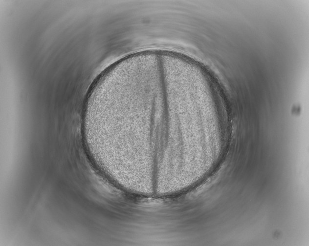 X0000093581505200711121048