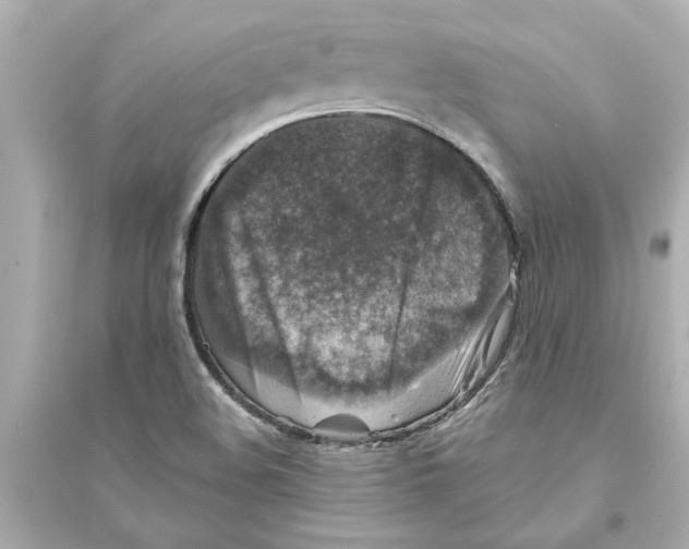 X0000093581508200711121048