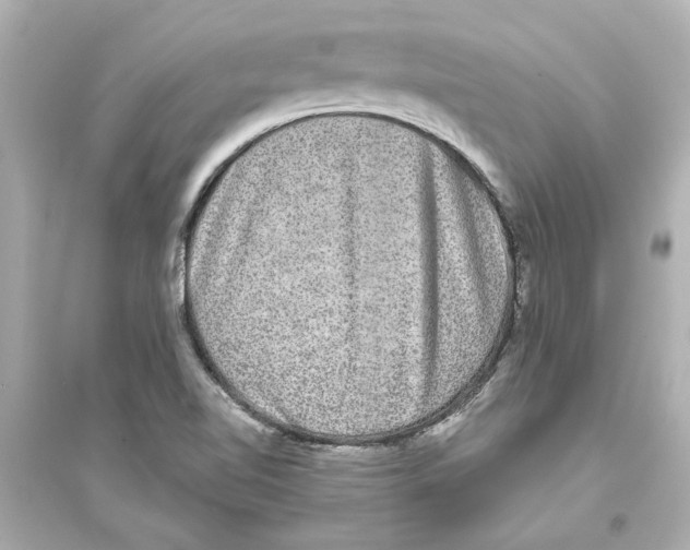 X0000093581510200711121048