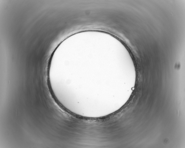 X0000093581512200711121049