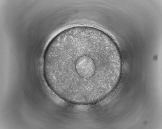 X0000093581514200711121049