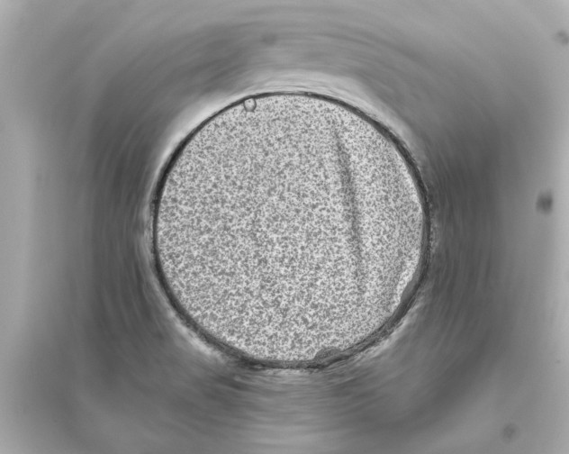 X0000093581517200711121049